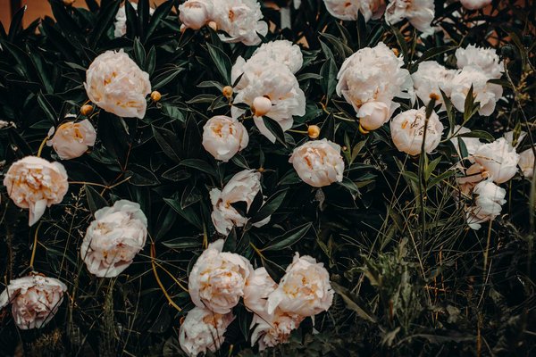 Meilleurs Slots Hors Ligne Android