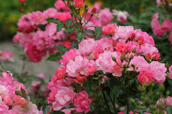 Machine Sous Jeux Gratuits Casino Partouche