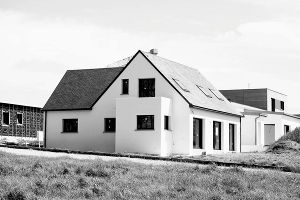 Machine à Sous Gorilla