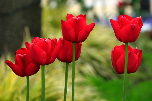 Menuiserie Bouvet : les différents matériaux utilisés par ce fabricant