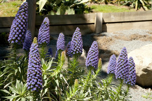 Roulette Anglaise Casino Astuces