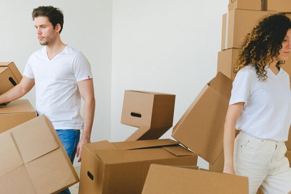 Jeux De Bingo Gratuits Jeu Vidéo