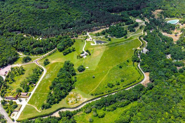 Paysagiste Paris : Créez votre espace vert sur-mesure en ville
