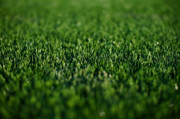 Gazon synthétique : faites le meilleur choix pour votre espace