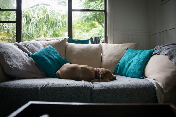 Guide d'entretien pour maintenir votre canapé convertible et canapé lit confortables